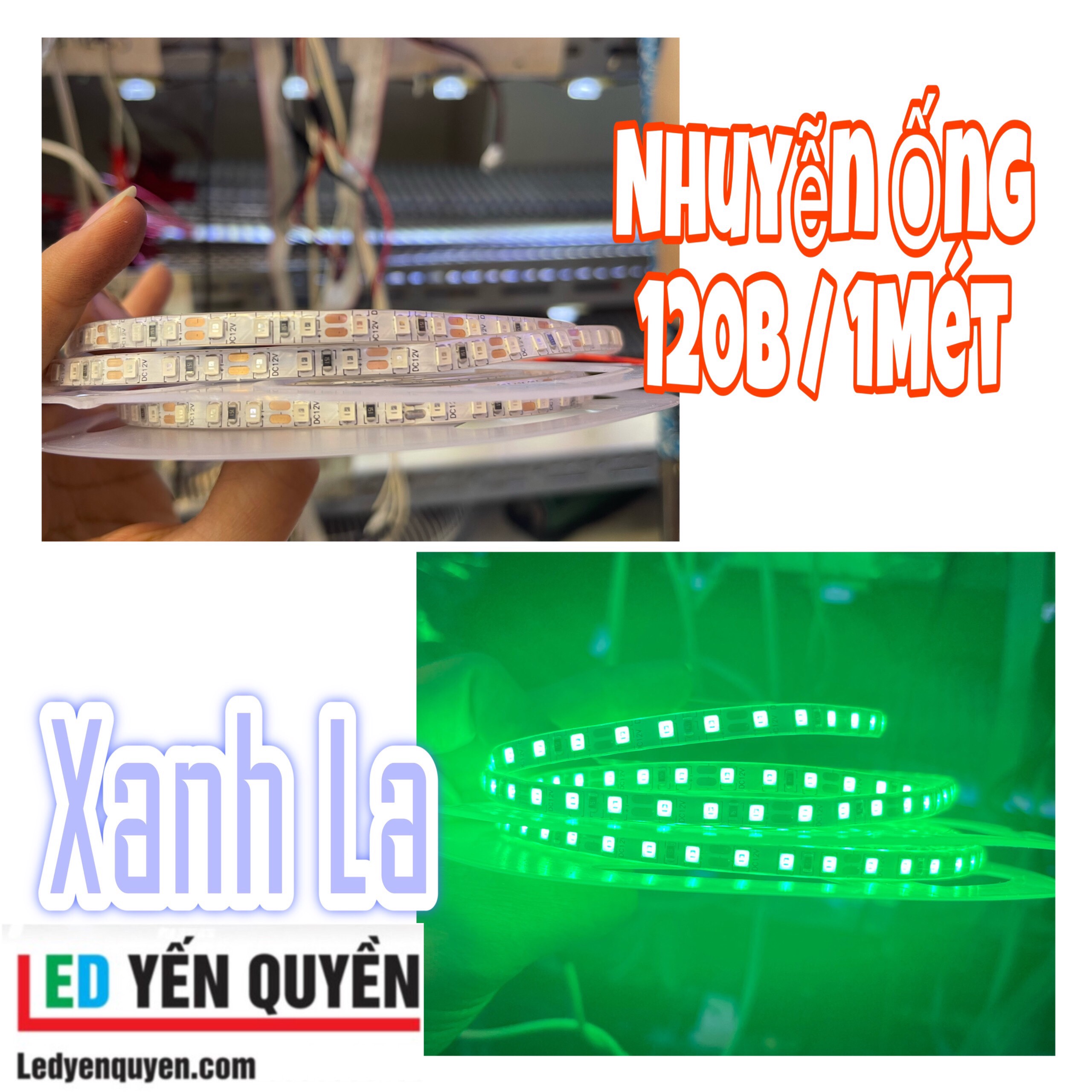 LED Dây 2835 12V ống 